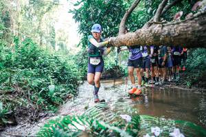 BIB: 
                            <button type="button" onclick="openModal(25468276)" class="btn btn-primary btn-sm float-right btn-popup" data-toggle="modal" data-target=".modal-high-quality">
                        <i class="fas fa-shopping-cart"></i> Add to Cart
                    </button>
                                            <button type="button" onclick="isThisMe(25468276, true)" class="btn btn-success btn-sm float-right btn-popup btn-isme hidden" data-toggle="tooltip" data-placement="bottom" title="นี่คือรูปของคุณใช่ไหม คลิกที่นี่เพื่อเอาเข้าอัลบั้ม">
                        <i class="fas fa-plus"></i> Add to album
                    </button>
                    <button type="button" onclick="isThisMe(25468276, false)" class="btn btn-warning btn-sm float-right btn-popup btn-isnotme hidden">
                        <i class="fas fa-ban"></i> Remove from album
                    </button>